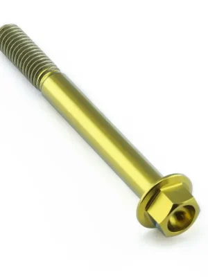 Akční Nabídka Pro-Bolt titanový šroub s šestihrannou hlavou se závitem M6 x 1,00 mm a délkou 55 mm, barva zlatá