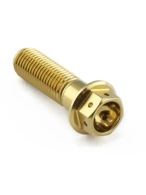 Akční Nabídka Pro-Bolt nerezový šroub s šestihrannou hlavou se závitem M10 x 1,25 mm a délkou 35 mm, barva zlatá