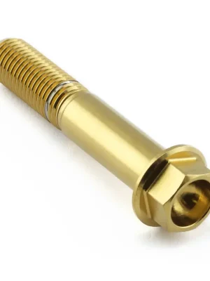 Akční Nabídka Pro-Bolt nerezový šroub s šestihrannou hlavou se závitem M10 x 1,25 mm a délkou 55 mm, barva zlatá