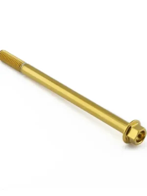 Autentický Pro-Bolt nerezový šroub s šestihrannou hlavou se závitem M6 x 1,00 mm a délkou 90 mm, barva zlatá